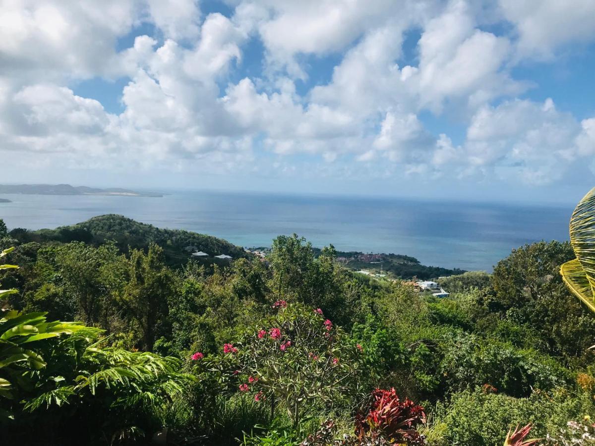 Bel appartement privé, magnifique vue sur la mer des Caraibes et jardin clos, WiFi, à 2mn de la plage Sainte-Luce Exterior foto